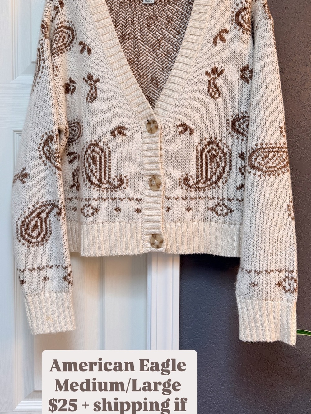 American Eagle Outfitters Cream Cardigan with Brown Paisley Motif - Picture 3 of 5